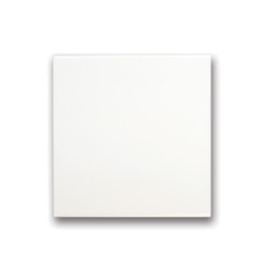 6" x 6" Tiles36/case - Spaceless