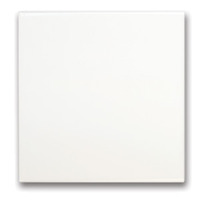12" x 12" Tiles16/case